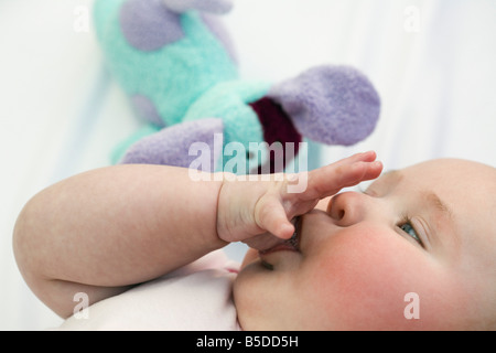 Drei Monate altes Baby Mädchen ihren Daumen saugen. Großbritannien Großbritannien Stockfoto