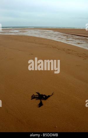 Omaha Strand bei Ebbe, Normandie, Frankreich Stockfoto