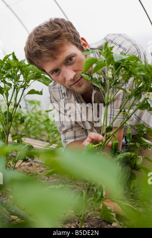 Mann im Gewächshaus, Porträt Stockfoto