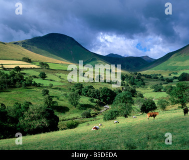 Keskadale und Derwent Fells in der Nähe von Keswick, Nationalpark Lake District, Cumbria, England, Europa Stockfoto