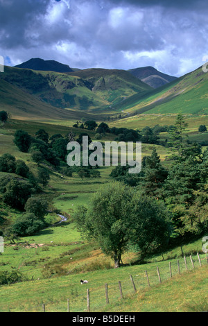 Keskadale und Derwent Fells in der Nähe von Keswick, Nationalpark Lake District, Cumbria, England, Europa Stockfoto