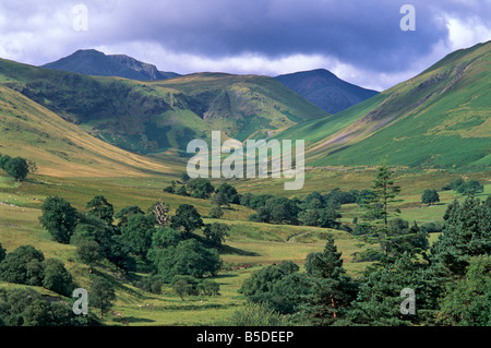 Keskadale und Derwent Fells in der Nähe von Keswick, Nationalpark Lake District, Cumbria, England, Europa Stockfoto