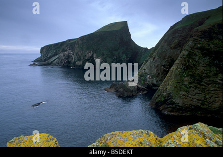 Schaf-Rock, wo Schafe im letzten Fair Isle Shetland-Inseln Schottland Großbritannien Europa beweidet wurden Stockfoto