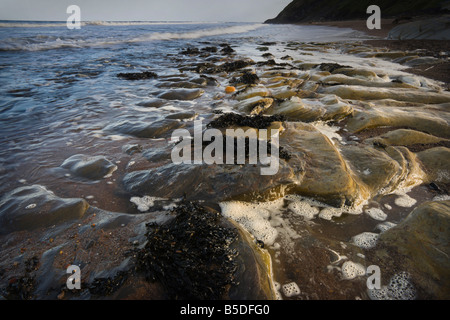 Spittal Strand Mündung des Fluss Tweed in der Nähe von Berwick Felsen auf die tideline Stockfoto