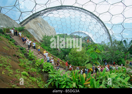 In den feuchten Tropen Biom im Eden Project eröffnet im Jahr 2001 bei einer Porzellanerde Grube in der Nähe von St. Austell, Cornwall, England Stockfoto