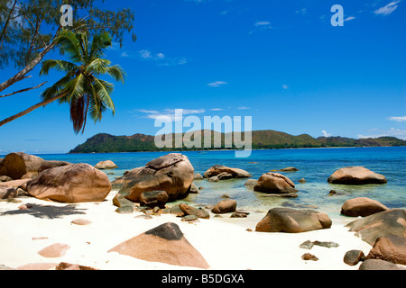 Anse Boudin Praslin Insel Seychellen Stockfoto