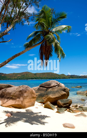 Anse Boudin Praslin Insel Seychellen Stockfoto