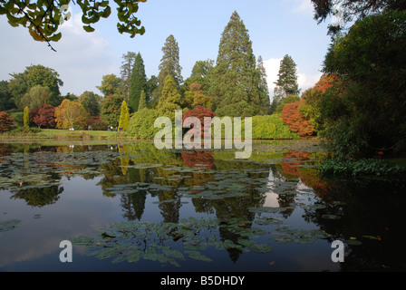 Schönen herbstlichen Farben reflektieren im Wasser bei Sheffield Park, East Sussex, England. Stockfoto