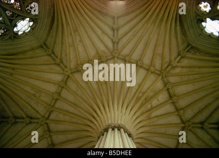 Decke der Kapitelsaal Wells Cathedral Somerset England England Europa Stockfoto