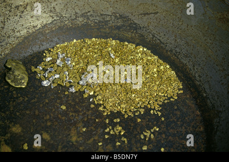 Eine altmodische gold Pfanne gefüllt mit gold-Nuggets und gehalten von einem Goldsucher eine Goldmine in der Nähe von Fairbanks, Alaska entnommen. Stockfoto