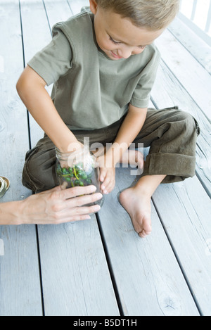 Kleiner Junge sitzt auf der Veranda, Beeren in Glas, erhöhte Ansicht platzieren Stockfoto