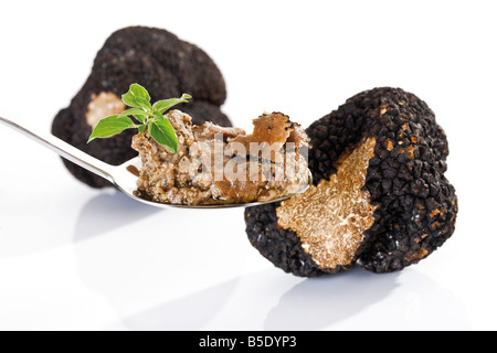 Schwarze Trüffel und Trüffel Pesto auf Löffel Stockfoto