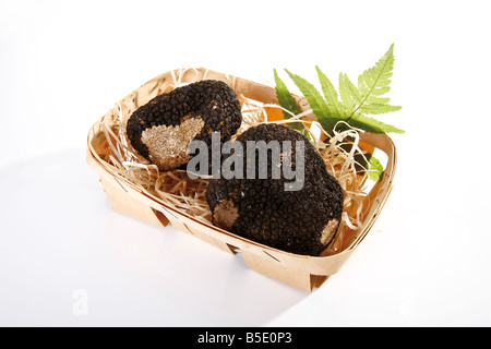 Schwarze Trüffel im Korb Stockfoto