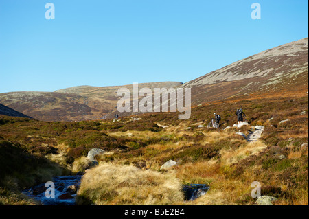 Weg zum Lochnagar nr Loch Muick Spittal of Glenmuick Cairngorms National Park Grampian Mountains Schottland UK im Herbst Stockfoto