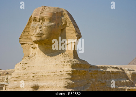 Die Sphinx in Gizeh bei Kairo Ägypten Stockfoto