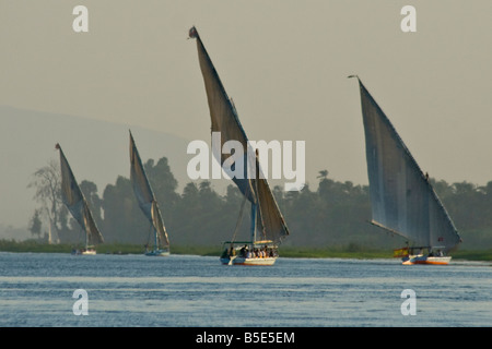 Segelboote Feluke auf dem Nil in Luxor Ägypten Stockfoto