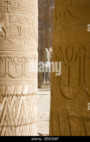 Statue von der ägyptische Gott Horus an den Horus Tempel in Edfu, Ägypten Stockfoto