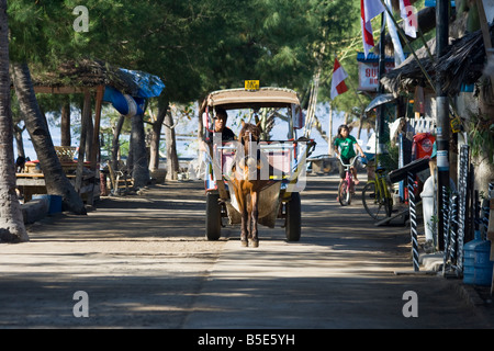 Cidomo Pferdekutsche auf der Insel Lombok in Indonesien Stockfoto