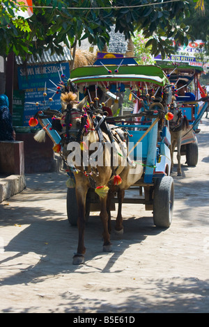 Cidomo Pferdekutsche auf der Insel Lombok in Indonesien Stockfoto