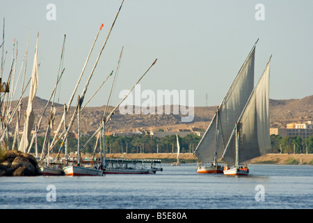 Segelboote Feluke auf dem Nil in Assuan, Ägypten Stockfoto