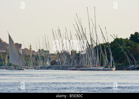 Segelboote Feluke auf dem Nil in Assuan, Ägypten Stockfoto