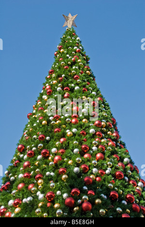 Weihnachtsbaum geschmückt Xmas outdoor-Urlaub, Ferien, Urlaub, Urlauber, Urlaub, Urlauber, Baum, Bäume, Weihnachten Stockfoto