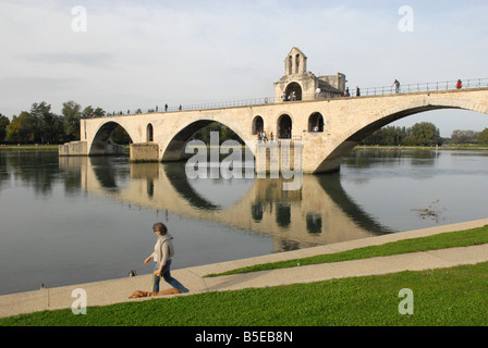 Die Pont St. Benezet auf der Rhone in Avignon Stockfoto
