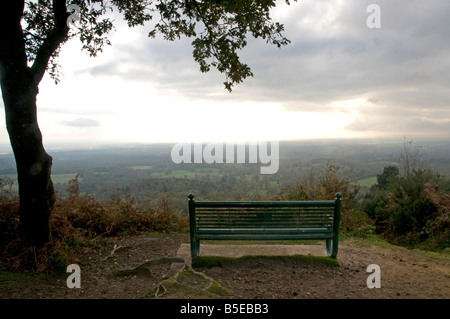 Leere Parkbank im Hurtwood Wald, mit Blick auf die North Downs in Surrey Stockfoto