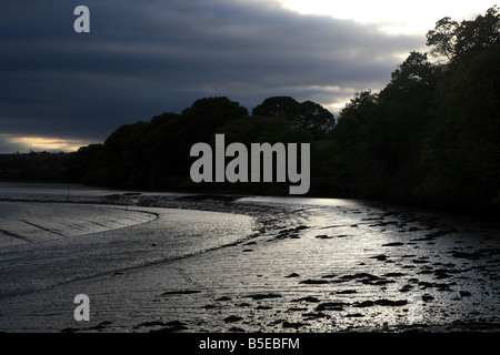 Die Ufer des Flusses bei Ebbe und Abenddämmerung in der Nähe von Pencalenick auf der Tresillian Fluss Pfarrei ST Clement Truro Cornwall England UK Stockfoto