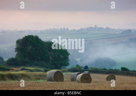 Heuballen in einem Feld auf einer nebligen Sommer morgen in der Nähe von der Mitte Devon Dorf Morchard Bischof Englands Stockfoto