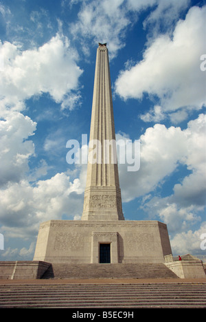 Denkmal am San Jacinto Battleground State Historic Park, Wildpark, in Houston, Texas, USA, Nordamerika Stockfoto