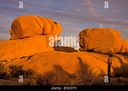 Jumbo Rocks, Joshua Tree Nationalpark, Kalifornien, USA, Nordamerika Stockfoto