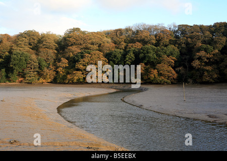 Das Wattenmeer bei Ebbe in der Nähe von Pencalenick auf der Tresillian Fluss Pfarrei ST Clement Truro Cornwall England UK Stockfoto