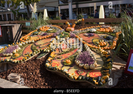 Kürbisfest bin Waltherplatz in Bozen. Kürbisfest in dem Waltherplatz in Bozen-Südtirol-Trentino-Südtirol-Südtirol Stockfoto