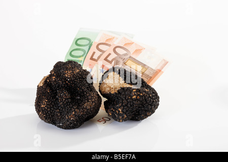 Euro-Banknoten und schwarzem Trüffel Stockfoto