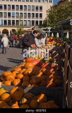 Kürbisfest bin Waltherplatz in Bozen. Kürbisfest in dem Waltherplatz in Bozen-Südtirol-Trentino-Südtirol-Südtirol Stockfoto