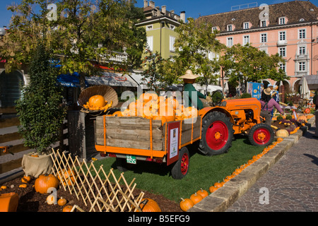 Kürbisfest bin Waltherplatz in Bozen. Kürbisfest in dem Waltherplatz in Bozen-Südtirol-Trentino-Südtirol-Südtirol Stockfoto