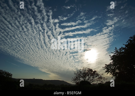 Wolkenmuster im Morgengrauen in Wiltshire UK Stockfoto