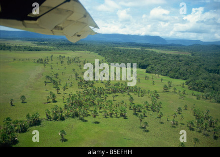 Landschaft in der Nähe von Kavak ein indianisches Dorf in der Nähe der Angel fällt Venezuela in Südamerika Stockfoto