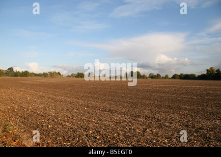 Anzeigen von Osten über ein Feld nördlich von Sipson exakt entlang der vorgeschlagenen dritten Start-und Landebahn für Flughafen Heathrow. Stockfoto