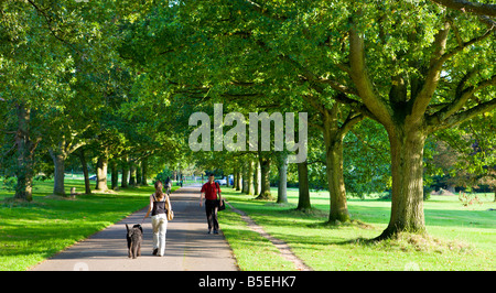 Wanderer auf einem Baum gesäumten Allee in Southampton gemeinsame Hampshire England Stockfoto
