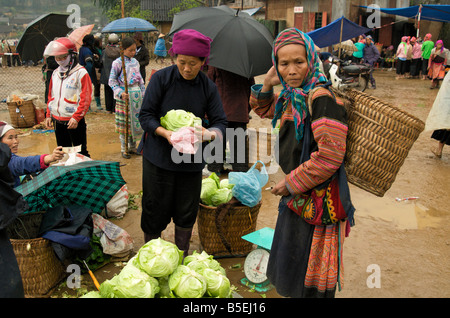 Eine Seniorin Flower Hmong Kauf Kohl auf einem Markt in Nord-Vietnam Stockfoto