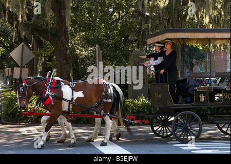 Pferd und Kutsche fahren auf Bull-Straße in der Altstadt, Savannah, Georgia, USA Stockfoto