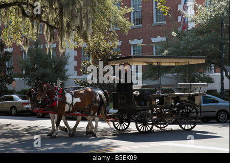 Pferd und Kutsche fahren auf Bull-Straße in der Altstadt, Savannah, Georgia, USA Stockfoto