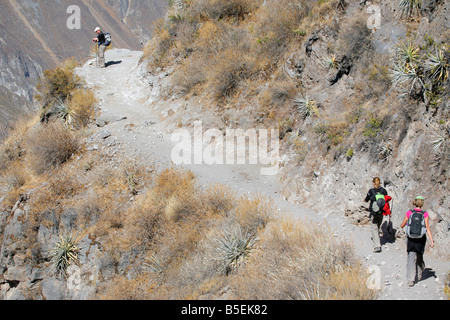 Wanderer in der Colcan-Schlucht, in der Nähe von Arequipa in Peru Stockfoto