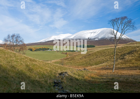 Wenig Lude in Glen Fender Blair Atholl Perthshire Region Tayside Schottland UK SCO 1098 Stockfoto