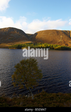 Loch Muick nr Lochnagar Spittal of Glenmuick Cairngorms National Park Grampian Mountains Schottland UK im Herbst Stockfoto