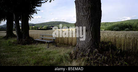 Bereich Bäume und Sitz in Bayern Stockfoto