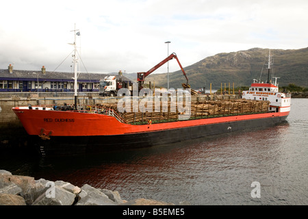 Ein Fracht-Boot tragbare Kran mit riesigen Protokollen an den Docks in Kyle of Lochalsh Schottland geladen wird. Stockfoto