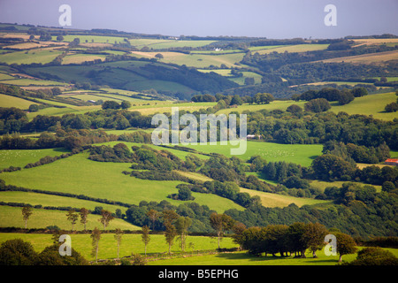 Sanfte grüne Landschaft im Sommer Exmoor Nationalpark Somerset England Stockfoto